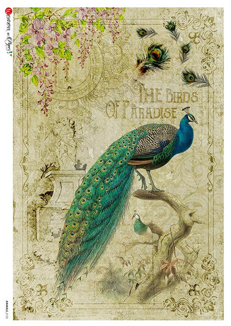 Paper Designs Birds of Paradise Vintage Peacock Rice Paper