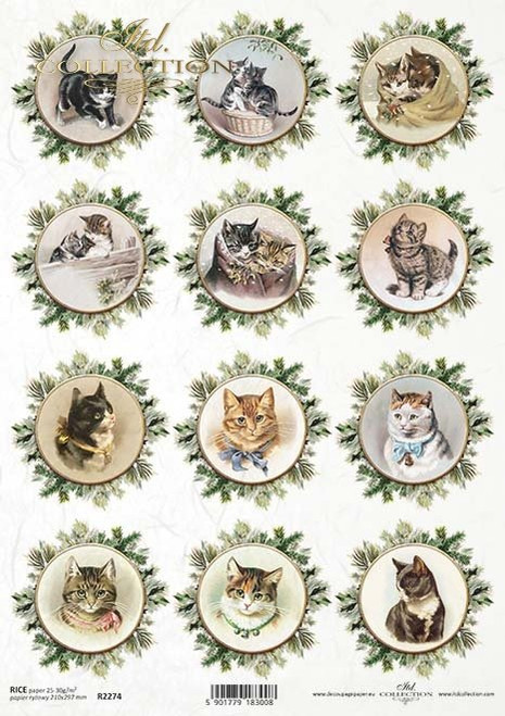 ITD Collection Twelve Round Mini Cat Portraits A4 Rice Paper