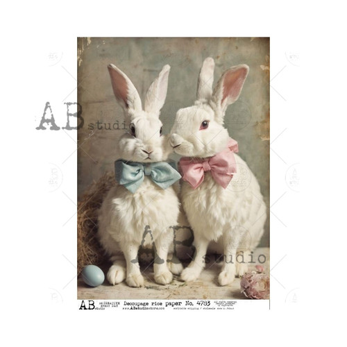 AB Studios White Boy and Girl Bunny A4 Rice Paper