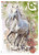 Paper Designs White Horse Animals 0178