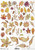 ITD Collection Autumn Leaves Rice Paper