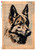 Paper Designs Dog Sketch on Encyclopedia Page Rice Paper