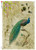 Paper Designs Birds of Paradise Vintage Peacock Rice Paper