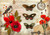 Decoupage Queen Papillon Poppies