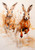Decoupage Queen Andy Skinner Hare Spray Rice Paper