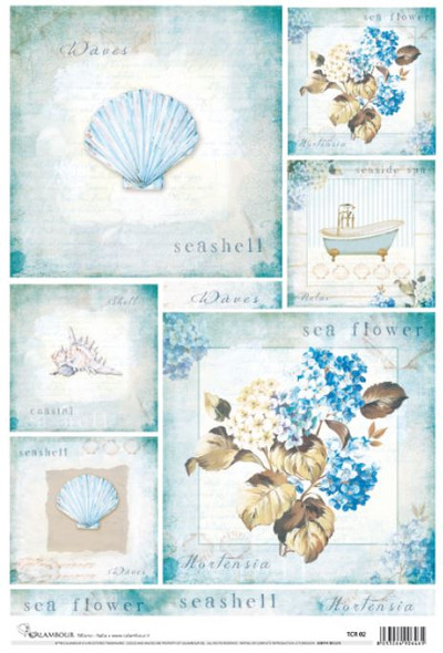 Calambour Hydrangeas and Seashells Coastal Beach A3 Plus Rice Paper