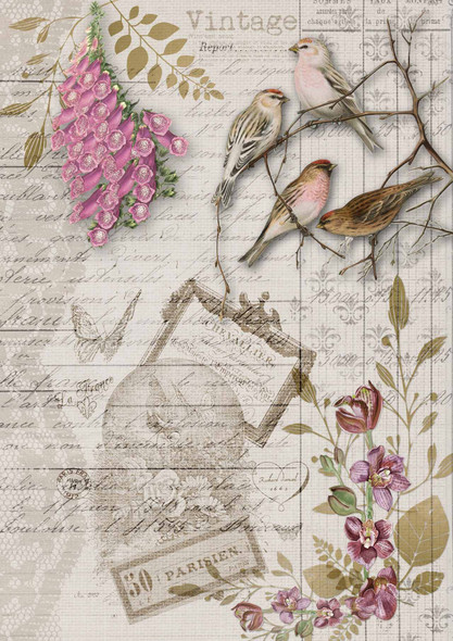 Birds and Orchids
