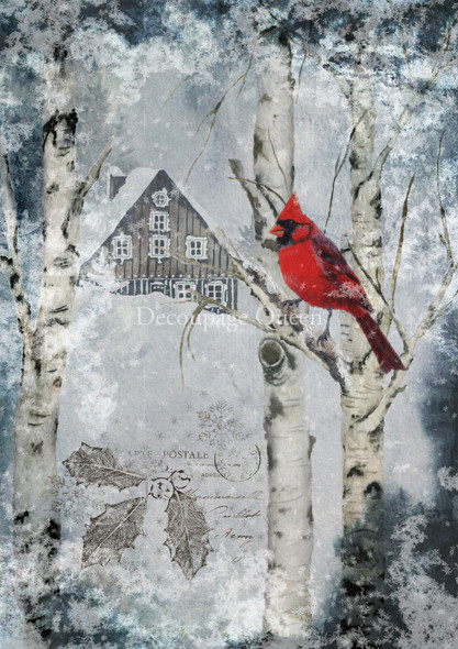 Winter Cardinal