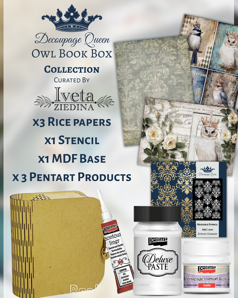 Owl Book Box Collection