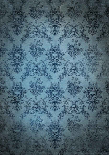 Skull Toile - Raven’s Archive - Olga Heldwein Collection Large Format