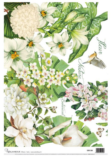 Calambour White Floral