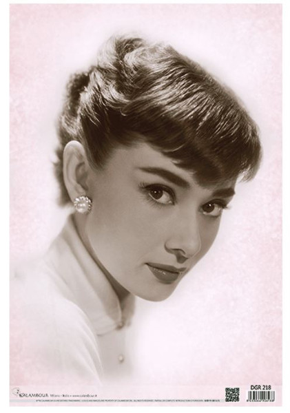 Calambour Audrey Hepburn Portrait
