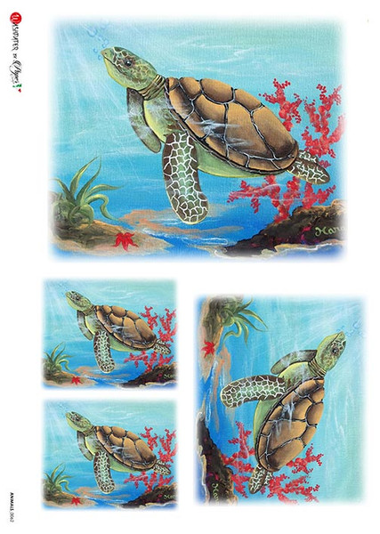 Paper Designs Animals sea turtle