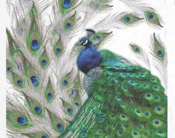 ITD Collection Peacock Rice Paper A4