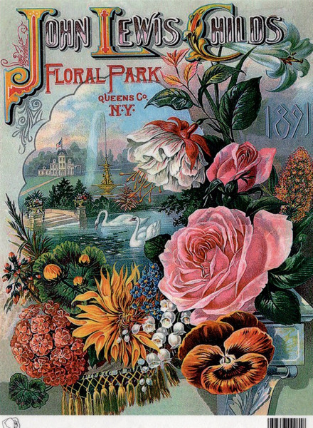 Calambour John Lewis Childs 1891 Floral Park Catalog A4 Rice Paper