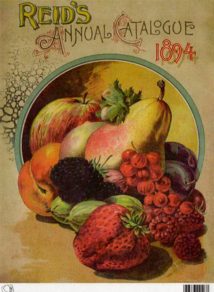 Calambour Reid's Annual Catalog Fruits 1894 A4 Rice Paper