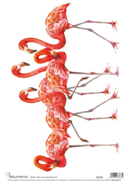 Calambour Row of Pink Flamingos A3 Rice Paper