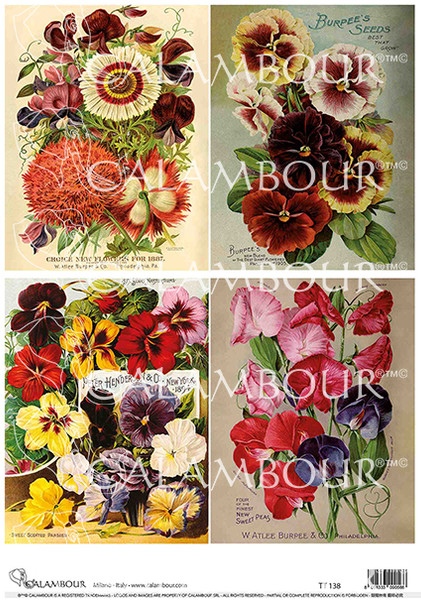 Calambour Pansies and Sweet Peas 4 Pack A4 Rice Paper