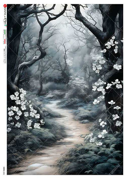 Paper Designs Dimly Lit Wooded Path Rice Paper