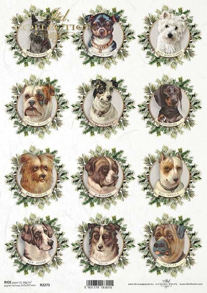 ITD Collection Twelve Round Mini Dog Portraits A4 Rice Paper