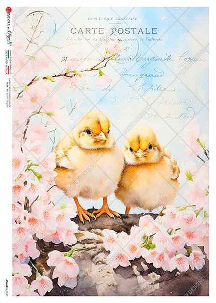 Paper Designs Chicks and Cherry Blossoms A4 Rice Paper