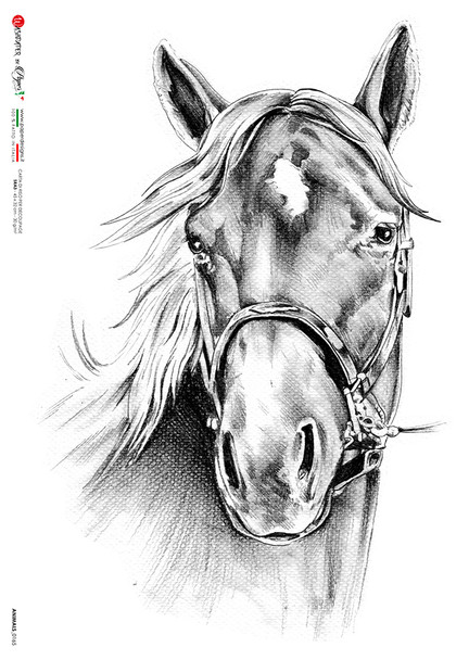 Paper Designs Animals horse