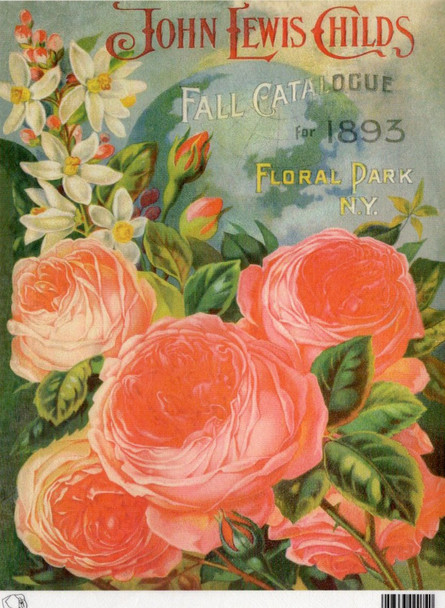 Calambour John Lewis Childs 1893 Fall Catalog A4 Rice Paper