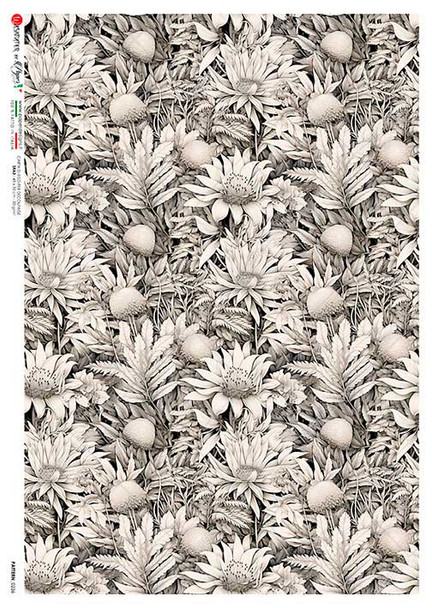 Paper Designs Black and White Daisies Rice Paper