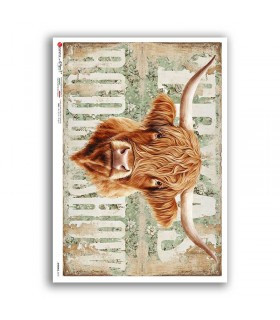 Rustic Highland Cow Portrait