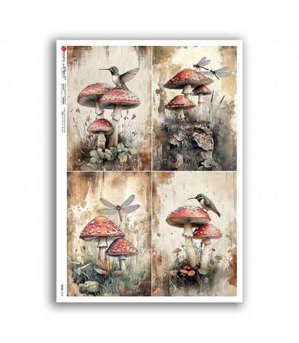Agaric Mushrooms