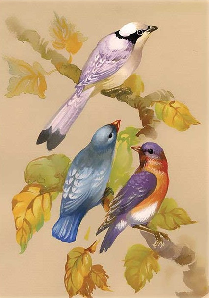Thrush Songbirds
