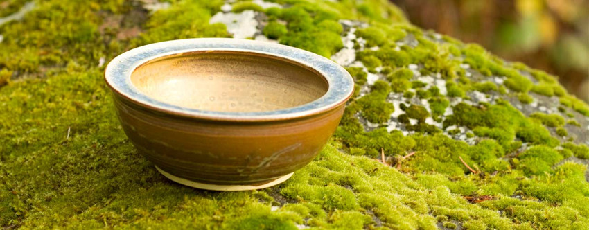 Paloma Pottery Offers Ideal Barbecue & Dinner Party Gifts at 15% Off During Month of August