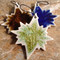 Holiday Ornaments Sale - North Star in assorted colors