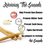 Natural Miswak (Sewak) Chewing Stick Teeth Cleaning - Traditional Toothbrush Fresh Breath