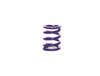 Bully Clutch Spring .067 (Purple)