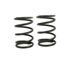 WMS MARS Valve Spring Set