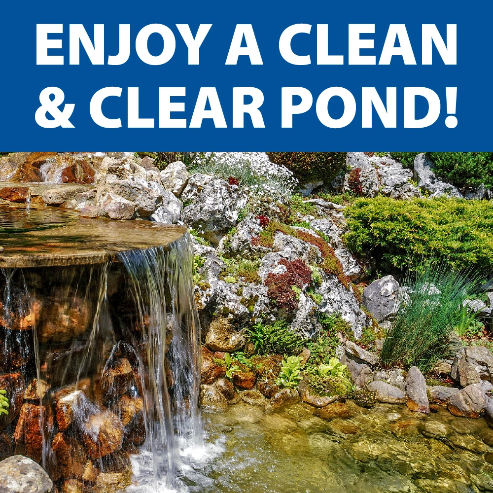 Clear decorative pond with waterfall and rock landscaping, illustrating the clean, clear water appearance supported by activated carbon treatment.