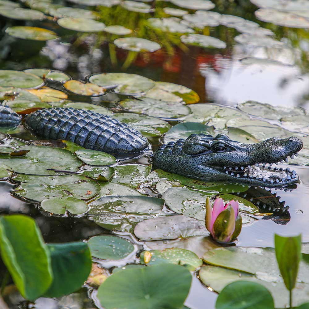 Aquascape Floating Alligator Decoy - Side View