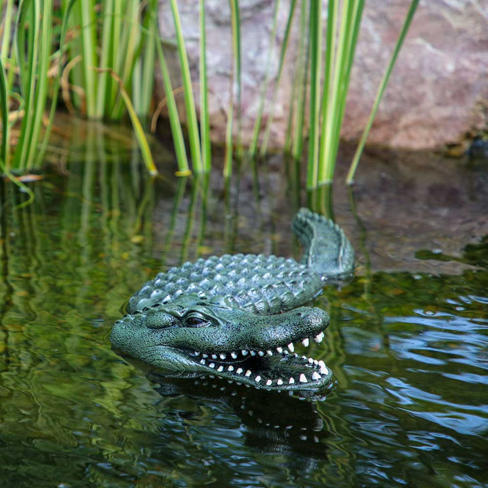 Aquascape Floating Alligator Decoy - Front View