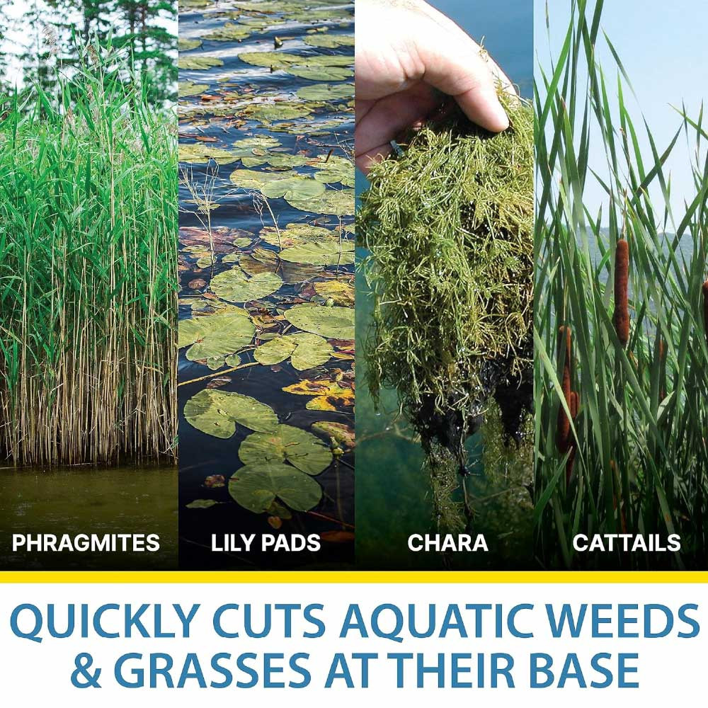 Collage of pond weeds (Phragmites, Lily Pads, Chara, Cattails) with the bottom text “Quickly Cuts Aquatic Weeds & Grasses At Their Base”.