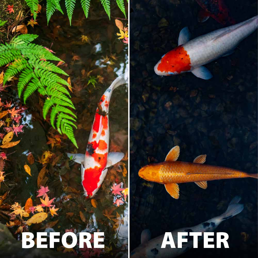 The Pond Guy PondShelter Net Cover Kit – Koi Pond Netting for Leaves & Debris