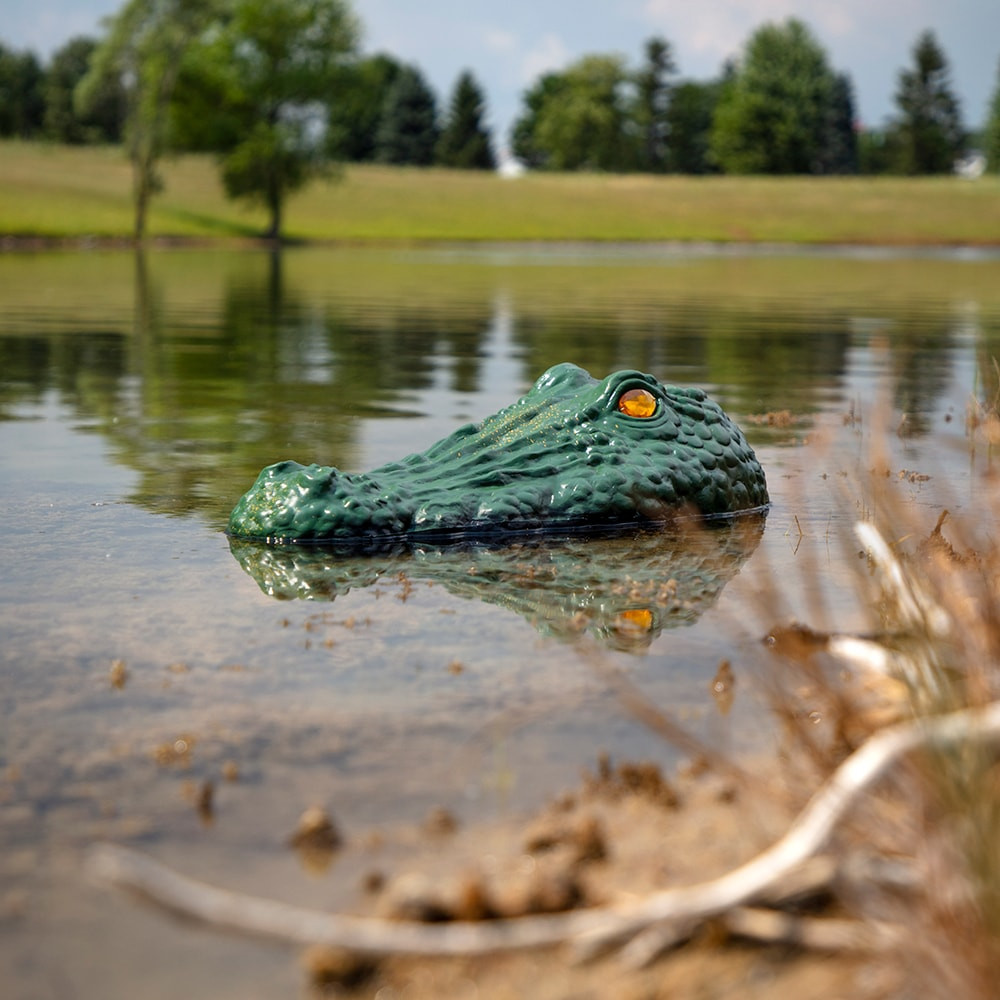 Bird-X Gator Guard Decoy Left View
