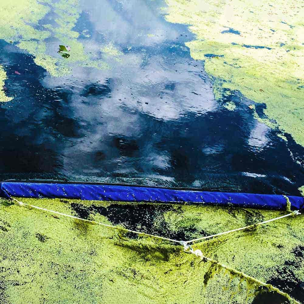 The Pond Guy PondSkim in Use