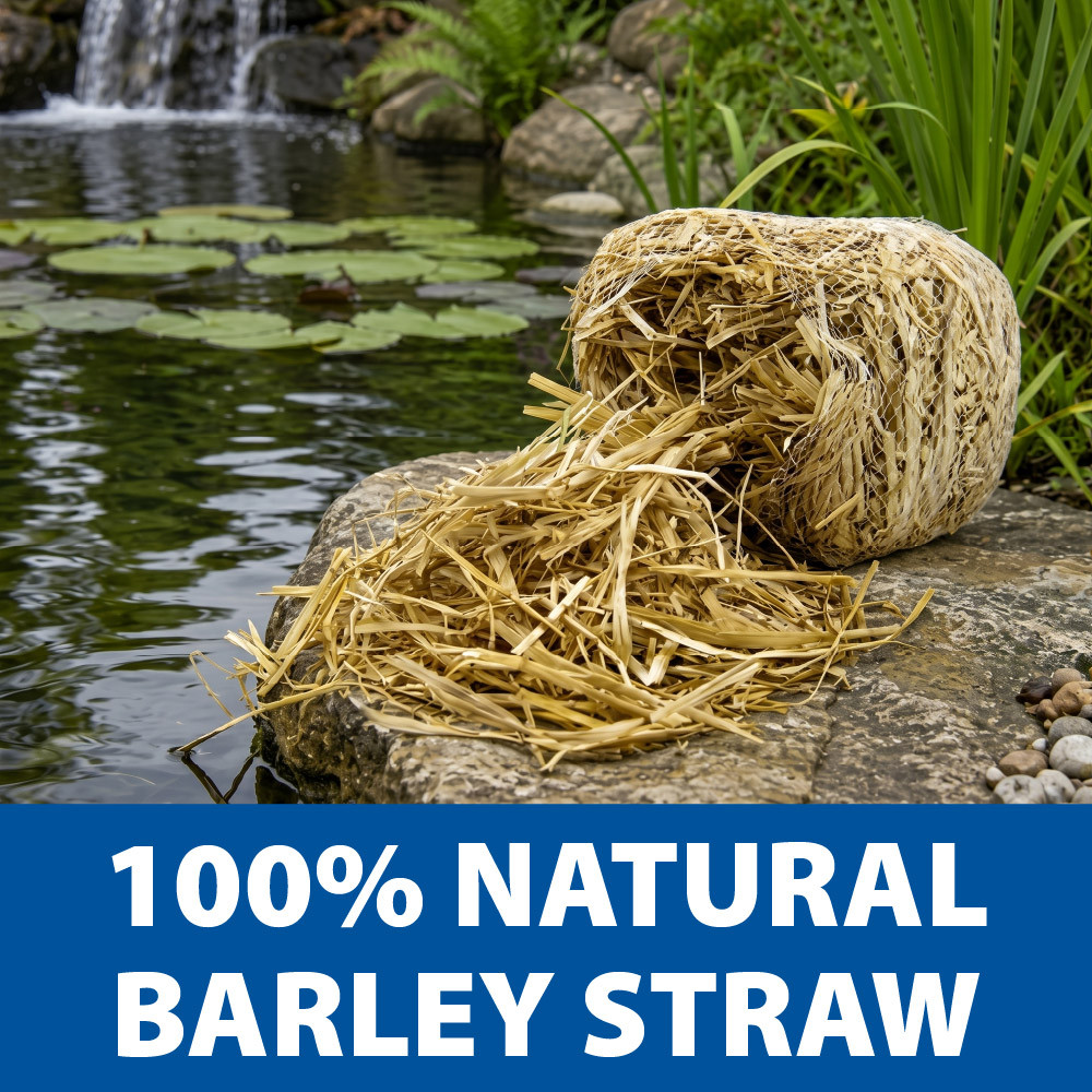 All-natural barley straw bale beside a garden pond offers a chemical-free solution for improving water clarity and reducing algae.