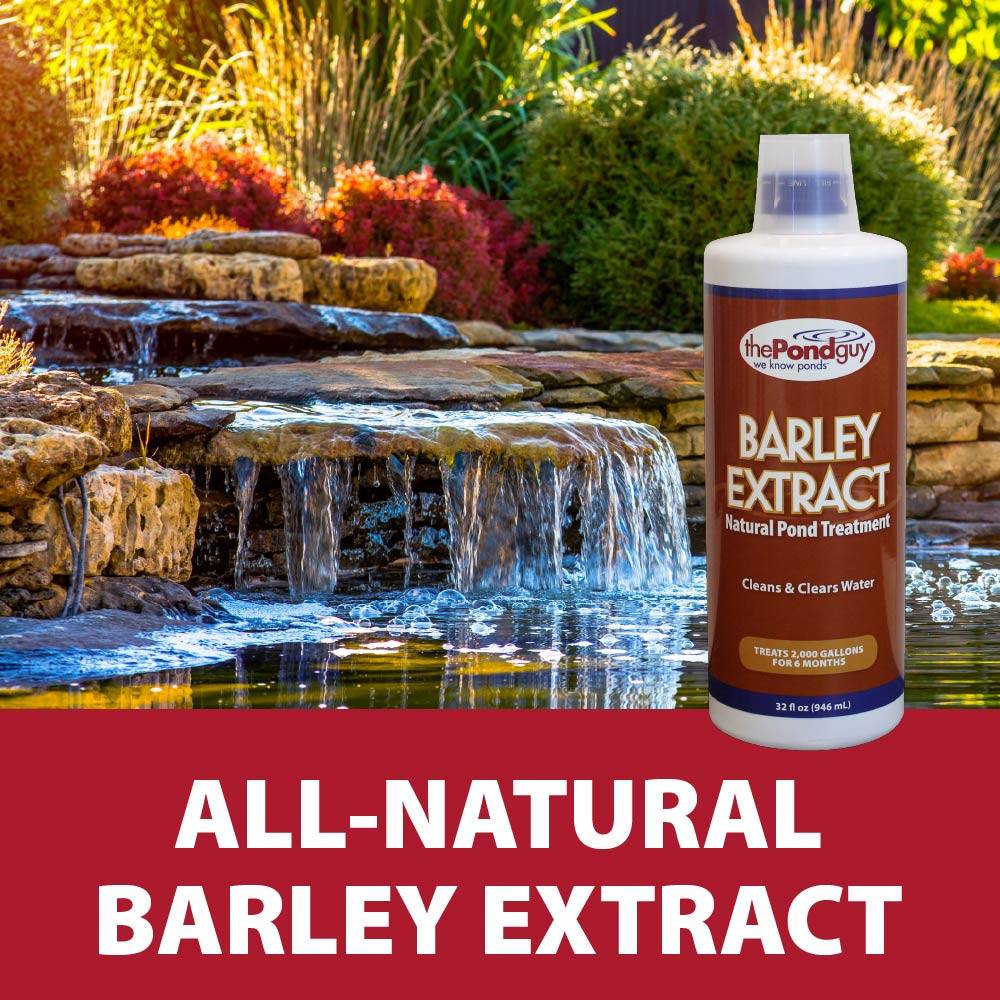 Barley Extract bottle superimposed over a rocky waterfall, with text “All-natural barley extract”.