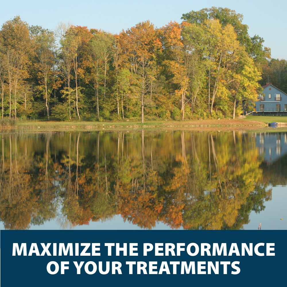 Calm residential pond surrounded by autumn trees with clear reflective water, representing healthy pond conditions after effective pond treatment.