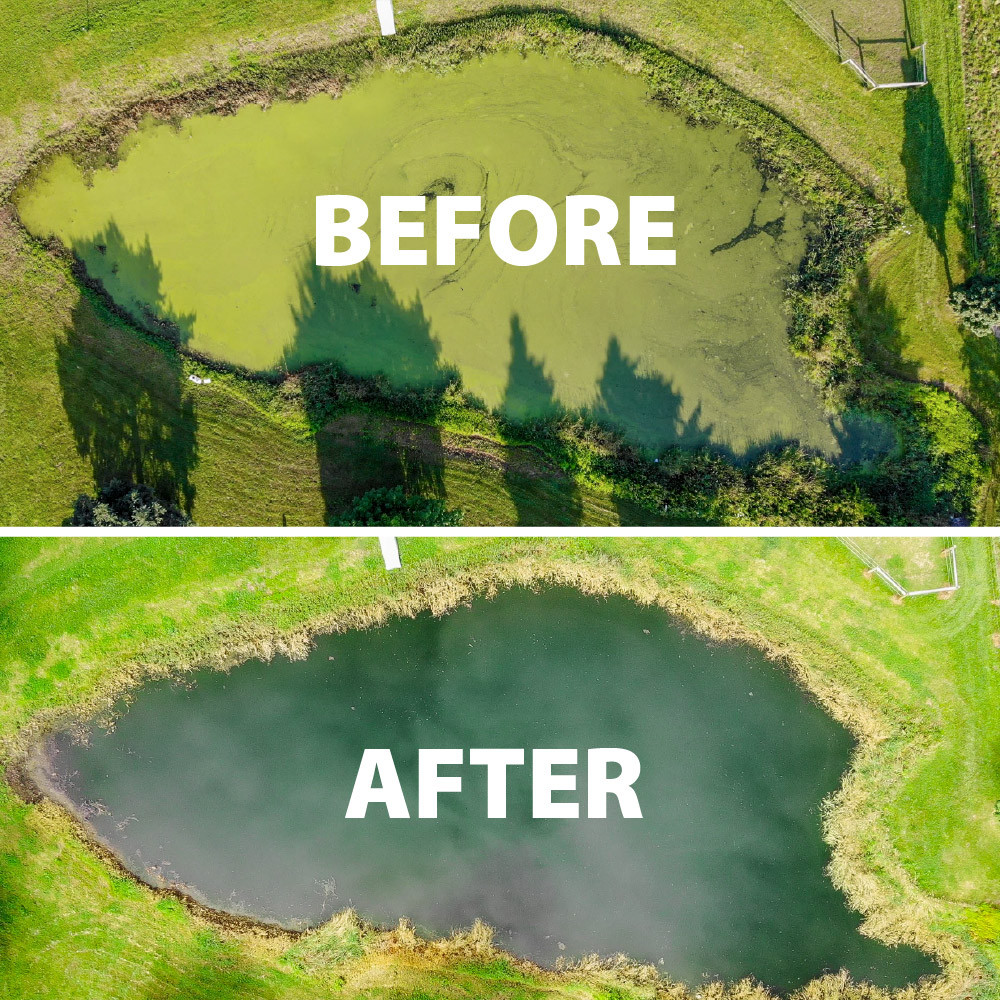Airmax Treatment Booster Plus Surfactant | The Pond Guy
