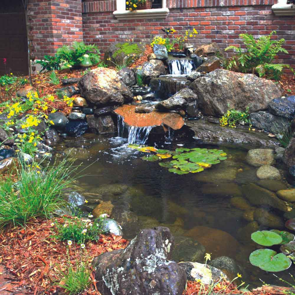 Blue Thumb | Elite Backyard Pond Kits | The Pond Guy