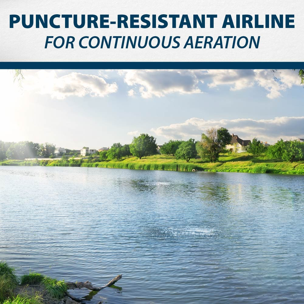 A stately, rural lake dotted by rising air bubbles, with text: 