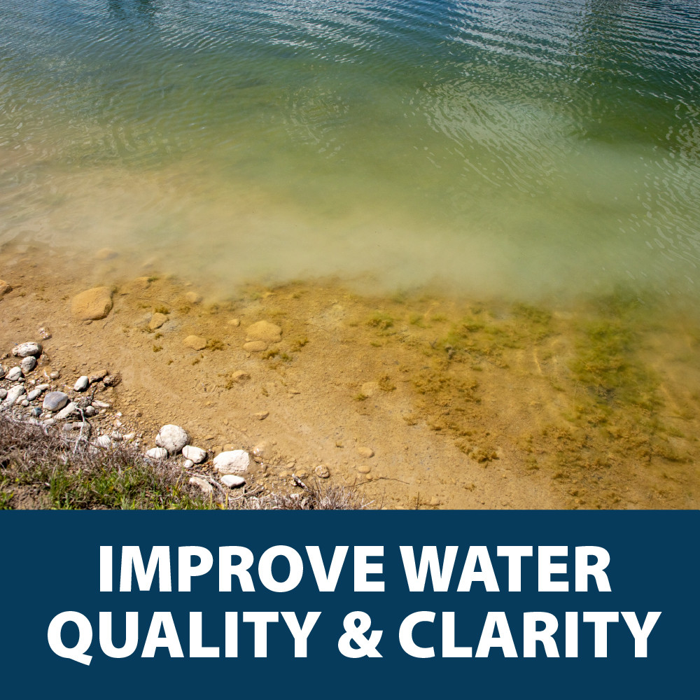 Clear pond water, with text: “Improve water quality & clarity”.